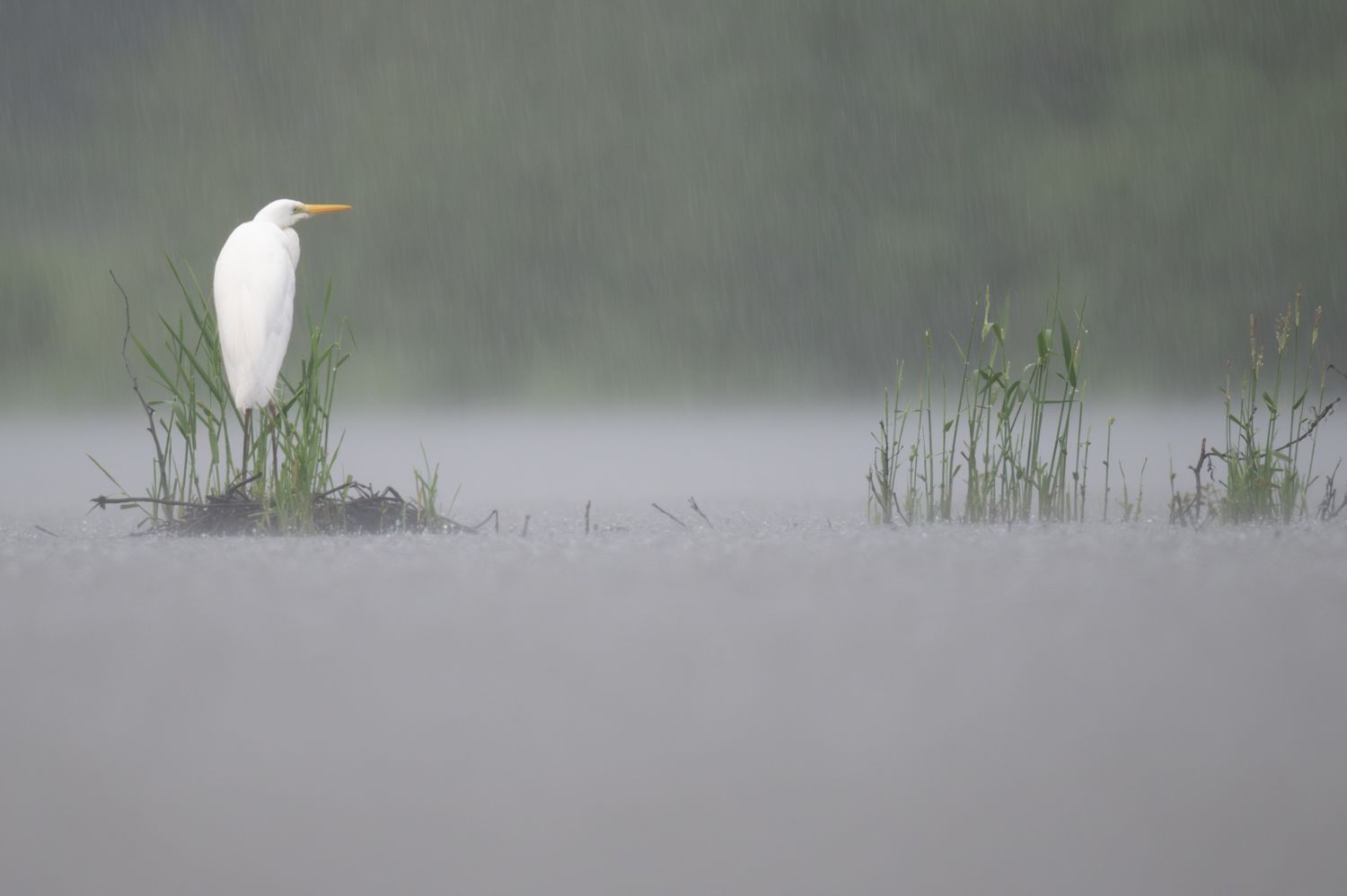 France  - heavy rain at the lake.....